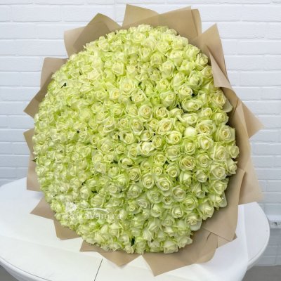 Букет из 29 белых роз (50 см)