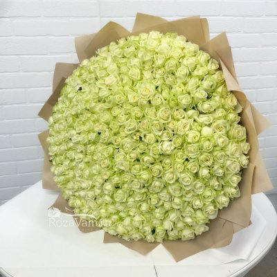 Букет из 301 белой розы (70 см)