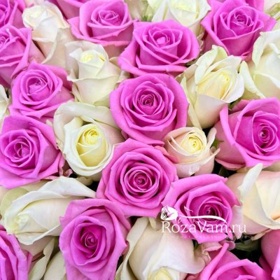 Букет из 101 бело-розовой розы ( 50 см)