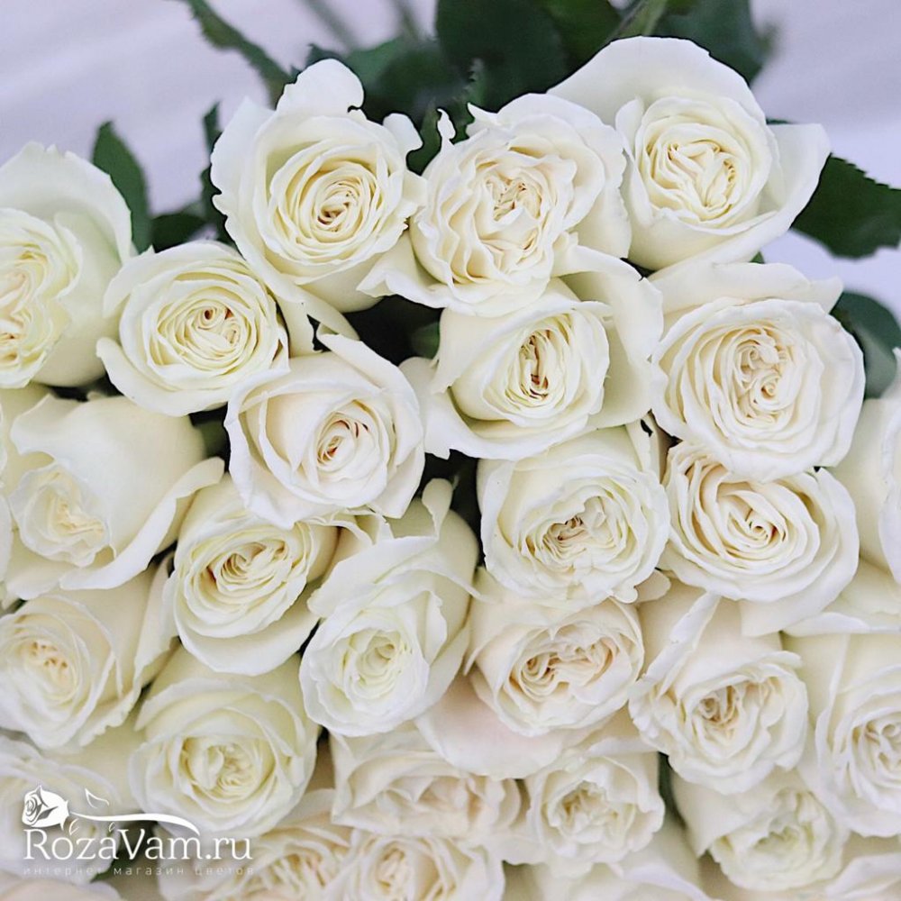 Букет белых роз картинки красивые