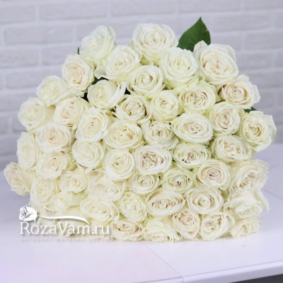 Букет из 49 белой  розы эквадор 70 см