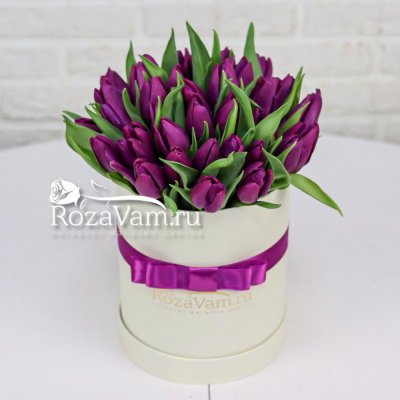 Коробочка из 35 бело-фиолетовых тюльпанов