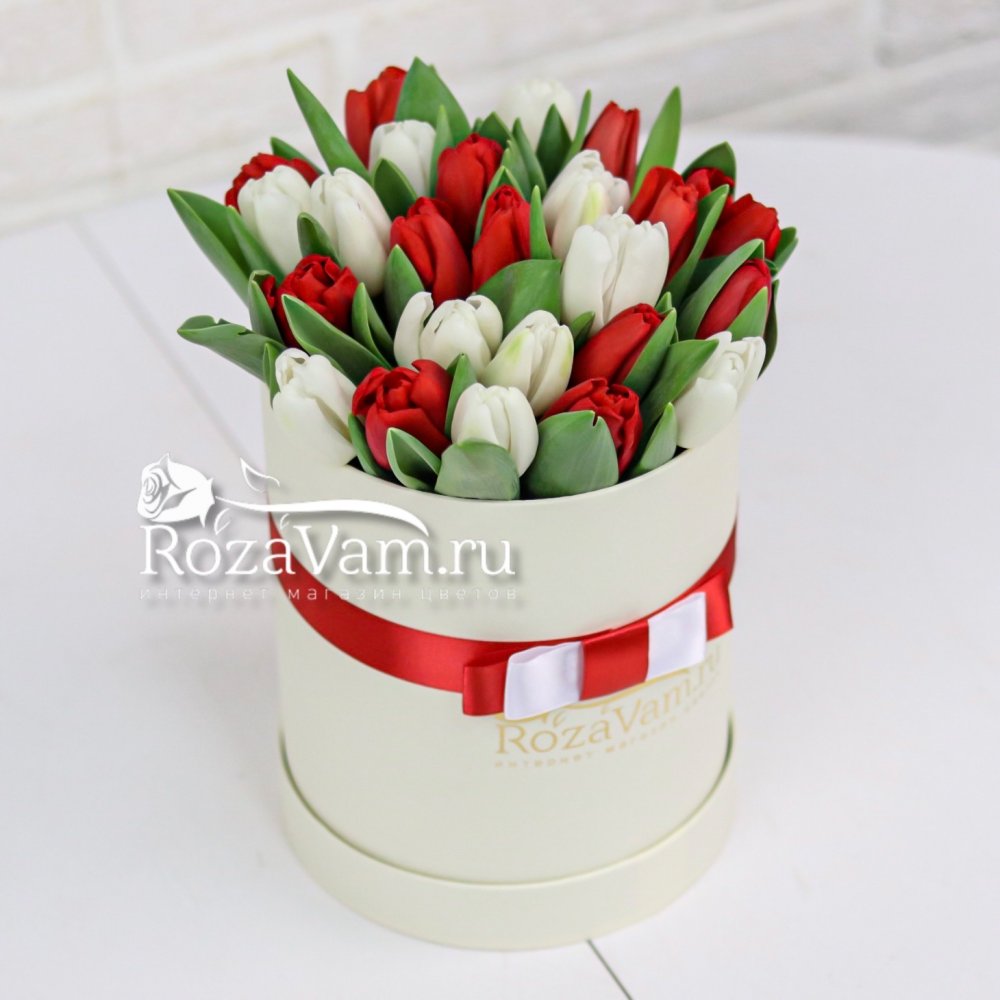 коробочка из 35 бело-красных тюльпанов