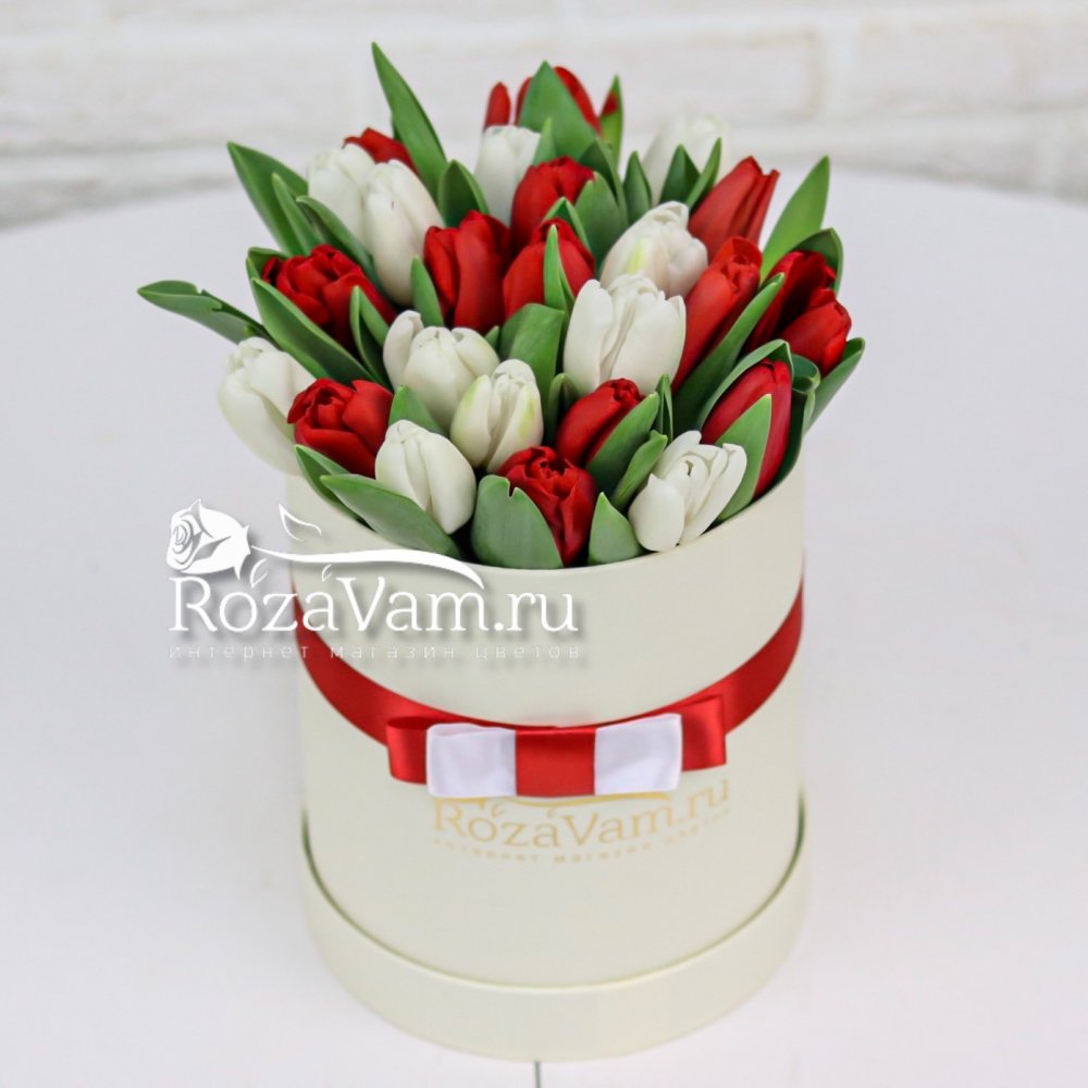 коробочка из 35 бело-красных тюльпанов